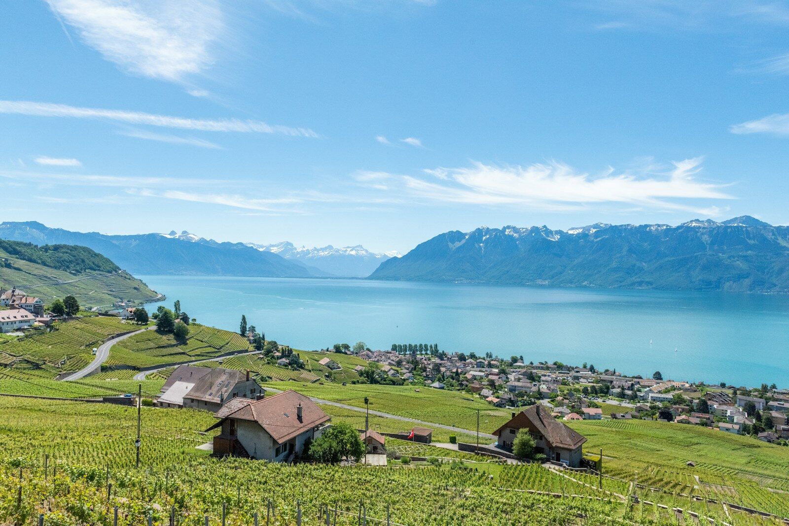 Lac Leman relocation